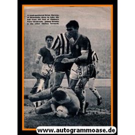 Autogramme Fussball | FC Chelsea / Newcastle | 1950er | 3 AG (Brabrook + Brooks + Harvey)