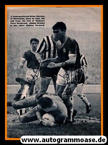 Autogramme Fussball | FC Chelsea / Newcastle | 1950er | 3 AG (Brabrook + Brooks + Harvey)