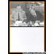 Autogramm Politik | FDP | Hans-Dietrich GENSCHER | 1970er...