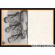 Autogramme Schlager | VINATA-TRIO | 1960er (Portrait SW)
