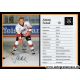 Autogramm Eishockey | SC Memmingen | 1990er | Alexej SULAK