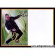 Autogramm Radio | Vogtland | Ron TAMME | 2010er Foto...