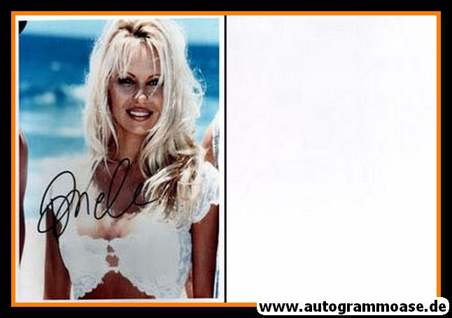 Autogramm Film (USA) | Pamela ANDERSON | 1990er Foto (Portrait Color) sexy