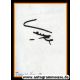 Autograph Fussball | Thomas KEMPE