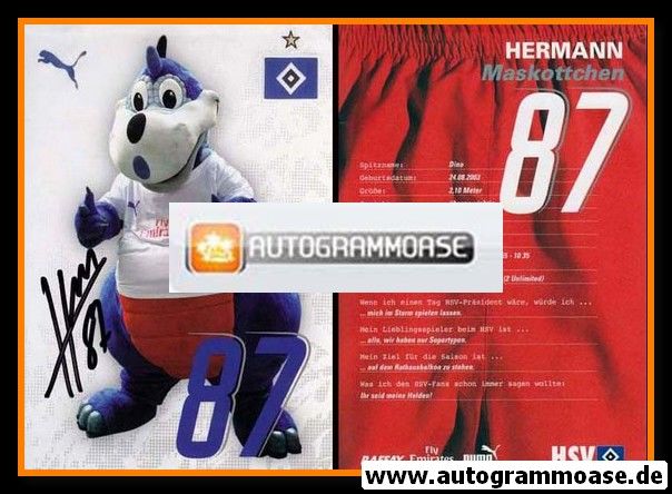 AK Fussball | Hamburger SV | 2006 | DINO HERMANN (Maskottchen)
