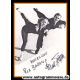 Autogramme Eiskunstlauf | Paul FALK + Ria BARAN | 1952...