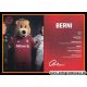Autogrammkarte Fussball (Damen) | FC Bayern München...