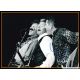 Autogramme Rock (USA) | STRAY CATS | 2000er Foto (Konzert...