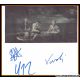 Autogramme Rock (USA) | AMERICAN MUSIC CLUB | 3...