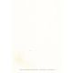 Autogramm Schauspieler | Andreas KERN | 2000er (Portrait...