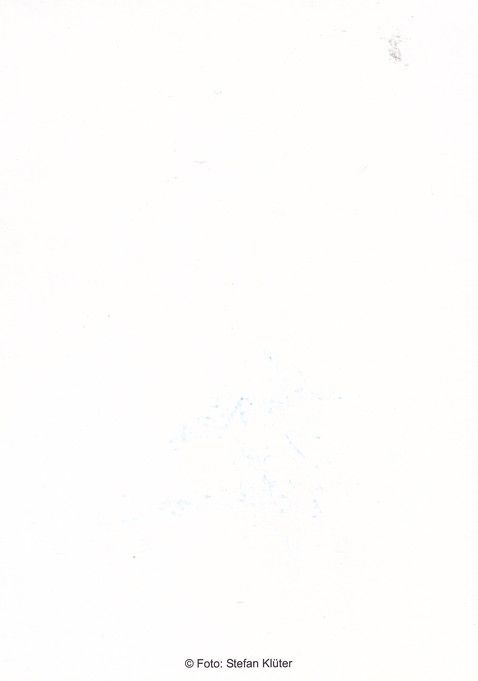 Autogramm Schauspieler | Andreas PIETSCHMANN | 2000er (Portrait Color) Klüter