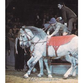 Autogramm Zirkus | THE SVENSONS | 1970er (Showszene Color) Pferdedressur