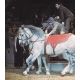 Autogramm Zirkus | THE SVENSONS | 1970er (Showszene Color) Pferdedressur
