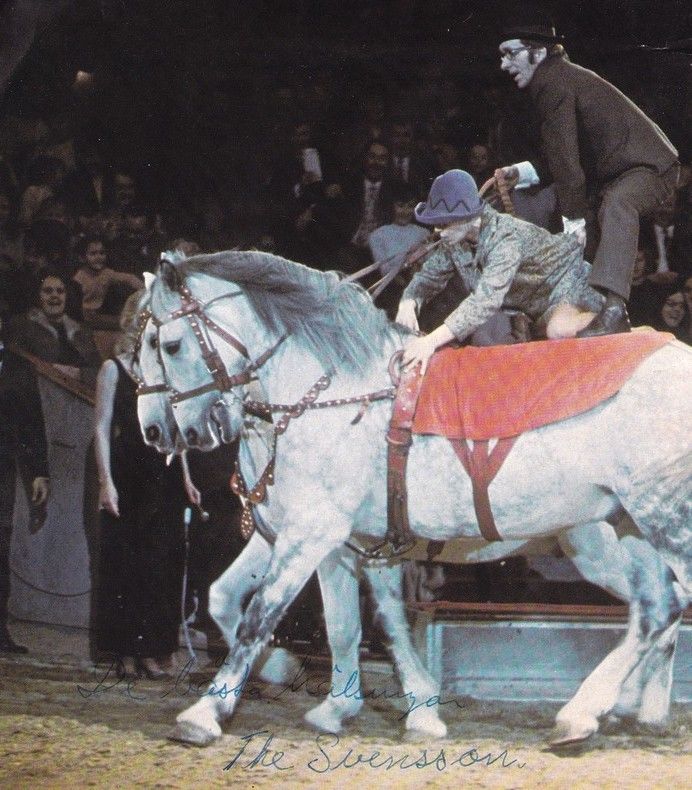 Autogramm Zirkus | THE SVENSONS | 1970er (Showszene Color) Pferdedressur