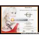 Autogramm Schlager | Claudia JUNG | 2001 "Auch Wenn...