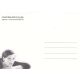 Autogramm Schauspieler | Charlotte BOHNING | 2010er...