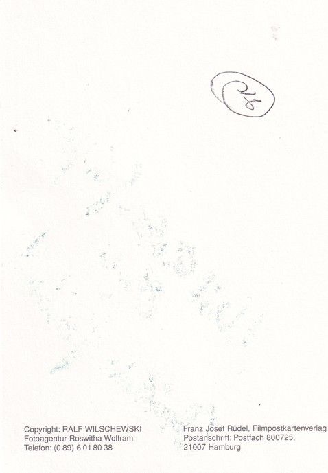 Autogramm Schauspieler | Christine REINHART | 2000er (Portrait Color Rüdel) Wolfram