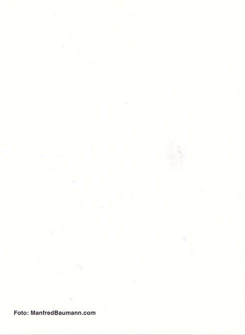Autogramm Schauspieler | Eleonore WEISGERBER | 2000er (Portrait SW) Baumann
