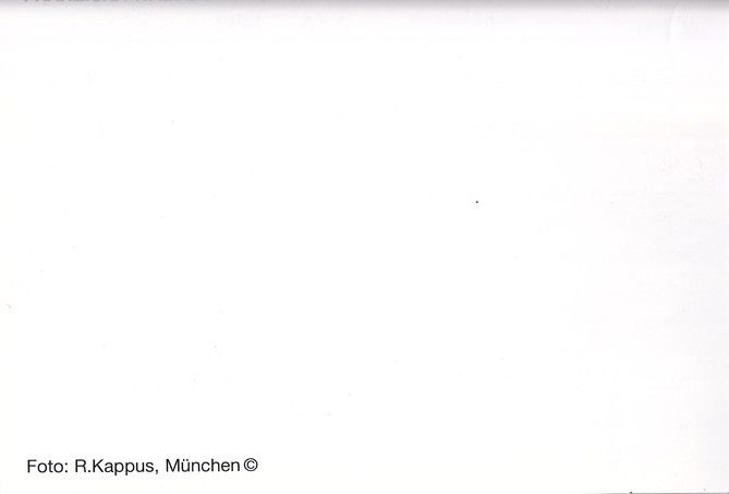 Autogramm Schauspieler | Franziska WALSER | 2000er (Portrait SW) Kappus