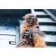 Autogramm Film (UK) | Arie DEKKER | 2018 Foto "Solo:...