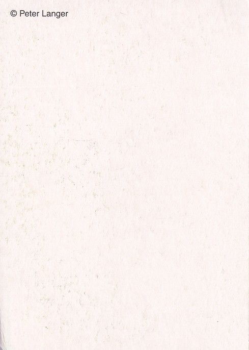 Autogramm Schauspieler | Julia RICHTER | 2000er (Portrait Color) Langer