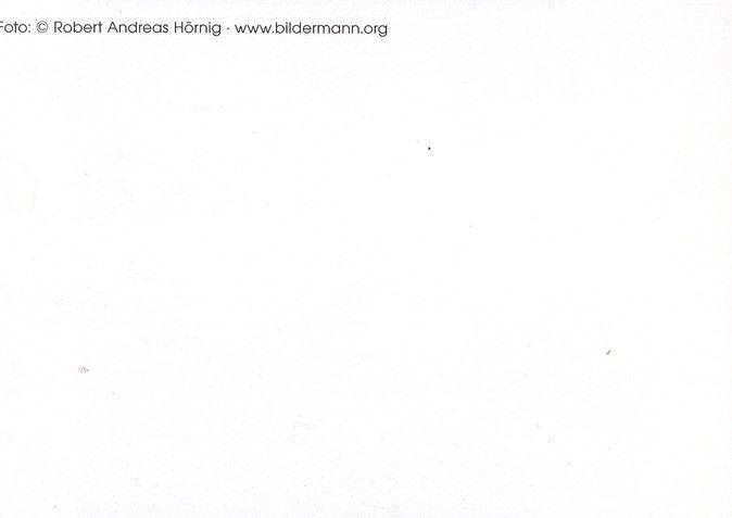 Autogramm Schauspieler | Christoph Maria HERBST | 2000er (Portrait SW) Hörnig 1