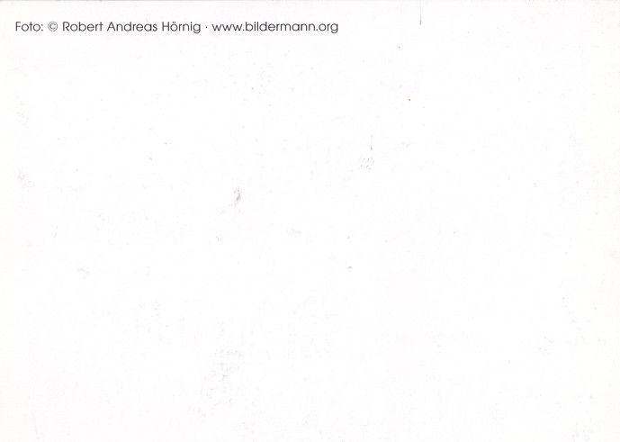Autogramm Schauspieler | Christoph Maria HERBST | 2000er (Portrait SW) Hörnig 2