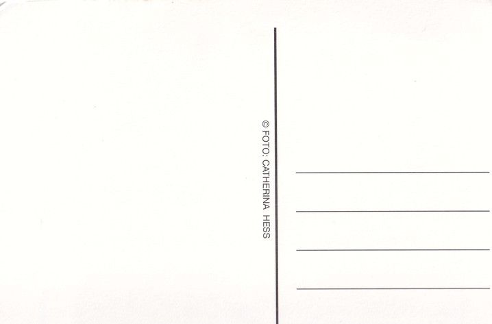 Autogramm Schauspieler | Cyrus DAVID | 2000er (Portrait SW) Hess