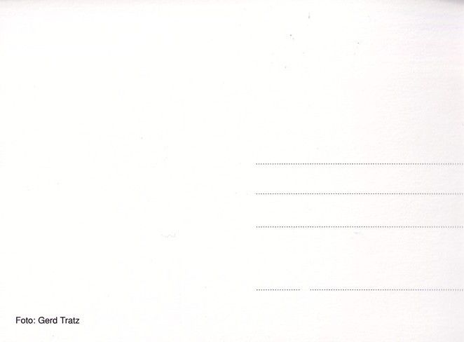 Autogramm Schauspieler | Witta POHL | 2000er (Portrait Color) Tratz
