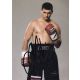 Autogramm Boxen | Alexander ALEKSEEV | 2000er (Portrait...