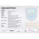 Autogramm Handball (D) | BSV Buxtehude | 2022 | Cara...
