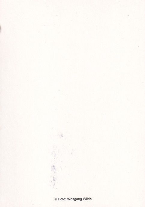 Autogramm Schauspieler | Ingo NAUJOKS | 2000er (Portrait Color) Wilde