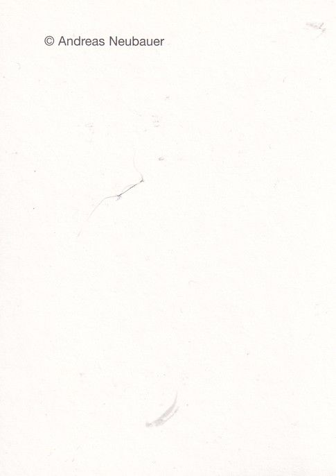Autogramm Regisseur | Helmut DIETL | 1990er (Portrait SW) Neubauer