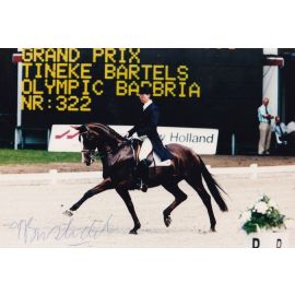 Autogramm Reiten | Tineke BARTELS | 1990er Foto (Dressurszene Color) OS-Silber