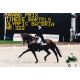 Autogramm Reiten | Tineke BARTELS | 1990er Foto...