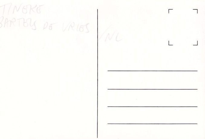 Autogramm Reiten | Tineke BARTELS | 1990er Foto (Dressurszene Color) OS-Silber