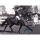 Autogramm Reiten | Josef NECKERMANN | 1979 (Dressurszene...