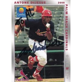 Autogramm Baseball | Palm Beach Cardinals | 2008 | Antone DeJESUS