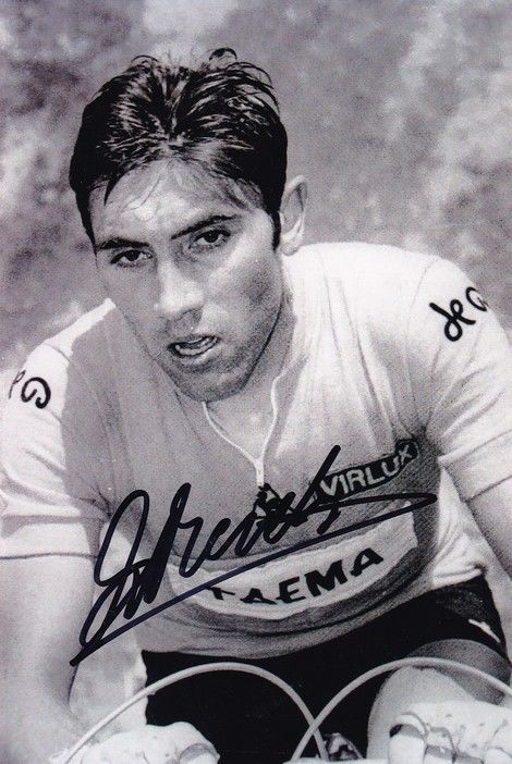 Autogramm Radsport | Eddy MERCKX | 1969 Foto (Rennszene SW) TDF