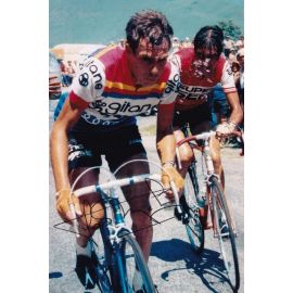 Autogramm Radsport | Lucien VAN IMPE | 1976 Foto (Rennszene Color) TDF