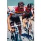 Autogramm Radsport | Lucien VAN IMPE | 1976 Foto...