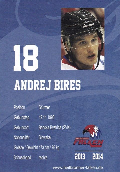 Autogramm Eishockey | Heilbronner Falken | 2013 | Andrej BIRES