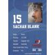 Autogramm Eishockey | Heilbronner Falken | 2013 | Sachar...