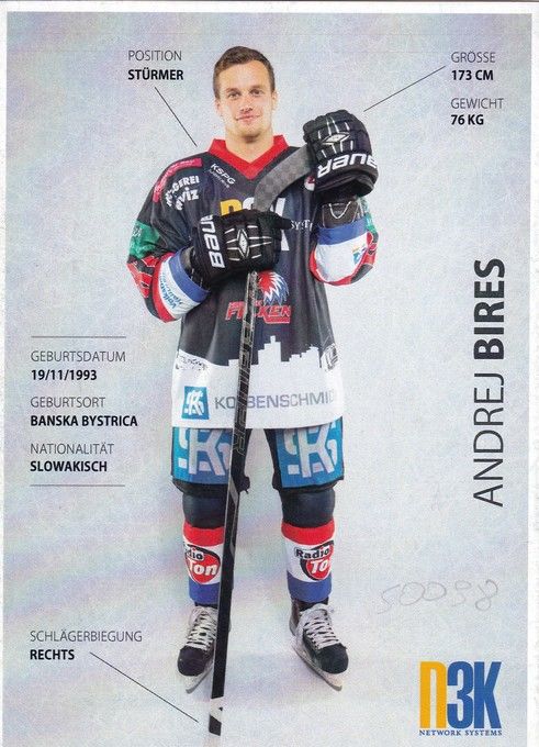 Autogramm Eishockey | Heilbronner Falken | 2014 | Andrej BIRES