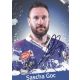 Autogramm Eishockey | Schwenninger Wild Wings | 2010er |...