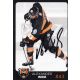 Autogramm Eishockey | Grizzly Adams Wolfsburg | 2017 |...