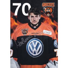 Autogramm Eishockey | Grizzly Adams Wolfsburg | 2010er | Mirko DAVI