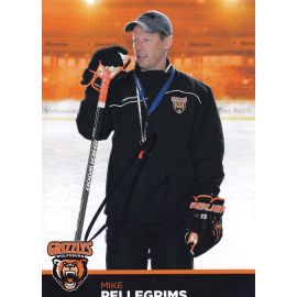 Autogramm Eishockey | Grizzly Adams Wolfsburg | 2015 | Mike PELLEGRIMS