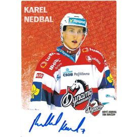 Autogramm Eishockey | Dynamo Pardubice (CZ) | 2010er | Karel NEDBAL