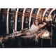Autogramm Film | Maria SCHRADER | 1997 Foto "Der...